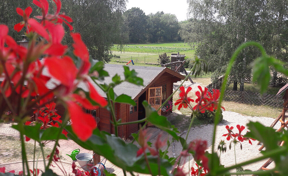 Ferienhof Falkenau